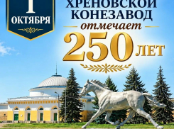 Хреновской конезавод в Бобровском районе отмечает 250-летие