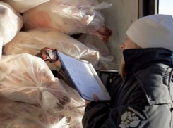 В Воронежской области нашли фантомного производителя мяса и морепродуктов