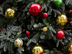 Какие профессиональные праздники будут отмечать жители Воронежской области в декабре