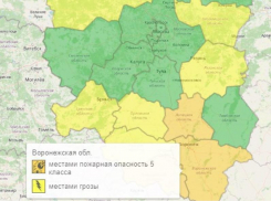 Оранжевый уровень опасности объявили из-за грозы в Воронежской области