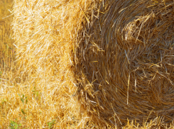 В панинском селе огонь уничтожил 7 тонн сена