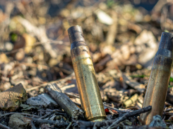 Житель Боброва нашёл на свалке карабин и хранил у себя дома 10 лет