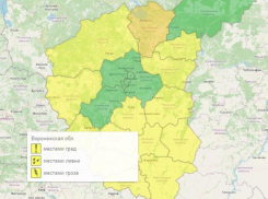 Желтый уровень опасности объявили из-за погоды в Воронежской области