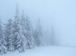 Синоптики рассказали, обрушится ли на Воронежскую область московский циклон