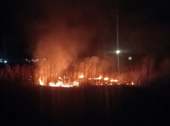 В Аннинском, Панинском и Эртильском районах Воронежской области установили III класс пожарной опасности