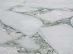 Спасатели предупредили жителей Воронежской области об опасности тонкого льда на водоёмах