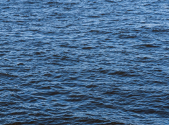 Двое мужчин погибли в водоёмах Воронежской области