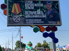 В Панино появились баннеры с фотографиями героев СВО