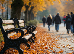 В Воронежской области ожидается потепление до +15 градусов