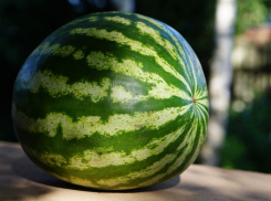 Специалисты рассказали жителям Воронежской области, как правильно выбирать арбузы