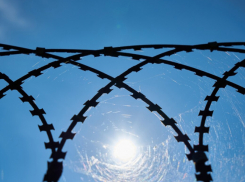 В Воронежской области выросла подростковая преступность