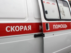 Водитель погиб при столкновении с деревом в Таловском районе