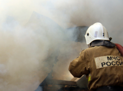 В Воронежской области почти год не было лесных пожаров