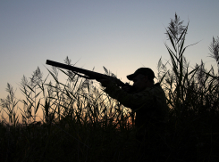 Жителям Воронежской области напоминают о новом порядке выдачи разрешений на охоту