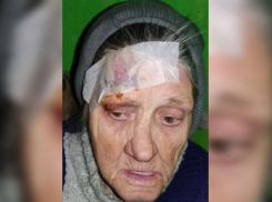 В Воронежской области начали поиски пропавшей без вести пенсионерки из Тульской области