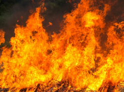 За первые выходные апреля в Воронежской области произошло 50 ландшафтных пожаров