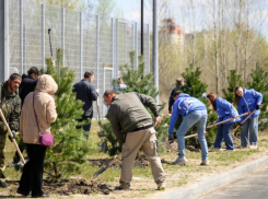 В субботнике в Воронежской области приняли участие более 111 тыс человек