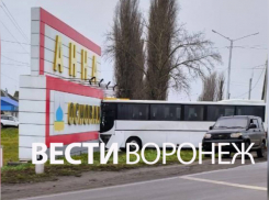 В Аннинском районе автобус врезался во въездную стелу