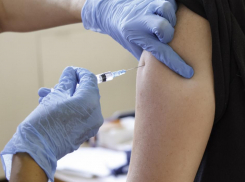 В Воронежскую область доставили 250 тыс. доз вакцины от гриппа