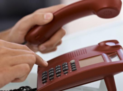 В Воронежской области запустили горячую линию по работе пограничных пунктов пропуска