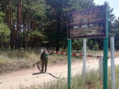 В Воронежской области на въездах в лес установили почти 500 шлагбаумов