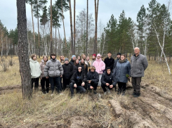 В Бобровском районе для школьников провели мастер-класс по посадке сеянцев сосны