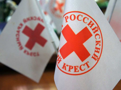 «Российский Красный Крест» направил 8 т гумпомощи для беженцев Донбасса