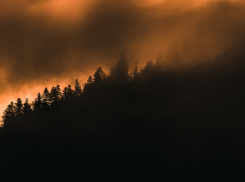 В Воронежской области продолжается подготовка к пожароопасному сезону