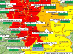 Опубликована карта самых пожароопасных районов Воронежской области