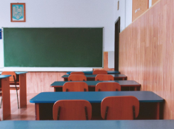 В Воронежской области на дистант из-за морозов перешли 30 школ