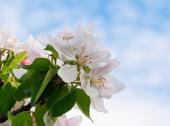 Воронежцам напомнили о длинных выходных в мае