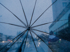 Жителей Воронежской области предупредили о ливнях и грозах