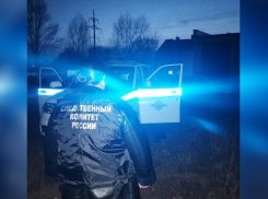 Житель Бобровского района изуродовал лицо соседа топором