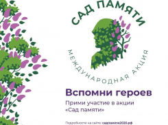 Воронежская область поучаствует в акции «Сад памяти»