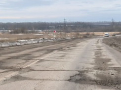 Воронежские водители пожаловались на разбитую дорогу между Таловой и Новохопёрском