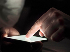 Жителей Воронежской области оповестили о новых сервисах, пополнивших «белый список»