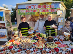В Эртиле отметили 85-летие района