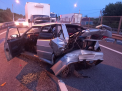 Двое маленьких детей пострадали в ДТП на трассе в Воронежской области 