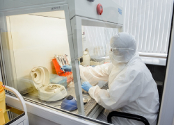 У 95 человек диагностировали COVID-19 в Воронежской области