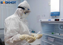 Еще 200 жителей Воронежской области заразились COVID-19