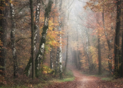 За неделю в Воронежской области пропали 7 детей