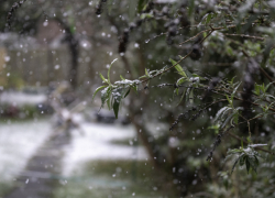 В Воронежской области ожидается мороз и сильный ветер