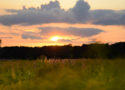 Синоптики сообщили о погоде в Воронежской области в августе