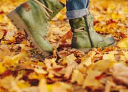 В Воронежской области за неделю 2 пропавших нашли мертвыми