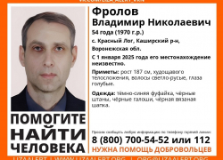 В Аннинском районе объявили поиск воронежца, пропавшего в Новый год