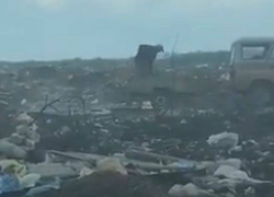 Экологический апокалипсис сняли на видео в Панинском районе