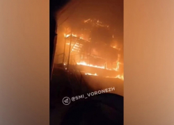 В Эртильском районе сгорело здание маслоэкстракционного завода