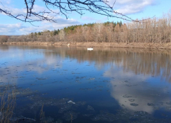 В Воронежской области водолазы начали поиски троих мужчин