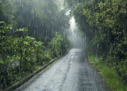 В начале новой рабочей недели в Воронежской области ожидаются дожди с грозами