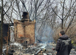 В Панинском районе в пожаре погибли два человека